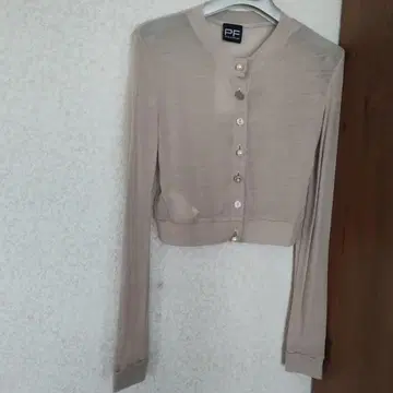 파올라 플라니