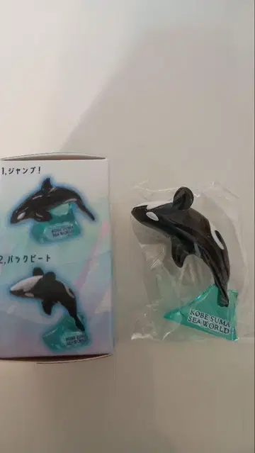 스마 씨월드 오루카 컬렉션 오루카