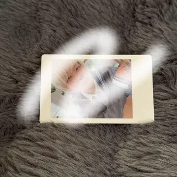 팬더드래곤 요우타 하피카