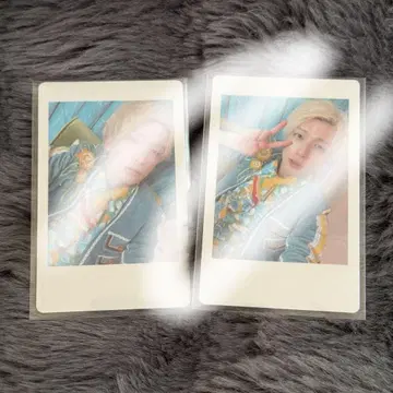 팬더 드래곤 요타 하피카