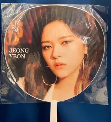 TWICE Perfect World 정연 부채