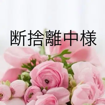 물건 정리중 님 살로펫 38 블루