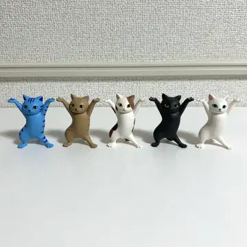 고양이 펜꽂이 5개 세트