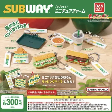 SUBWAY 서브웨이 미니어처 참 6종 세트