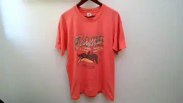 90s USA제 프룻 오브 더 룸 싱글 스티치 빈티지 티셔츠