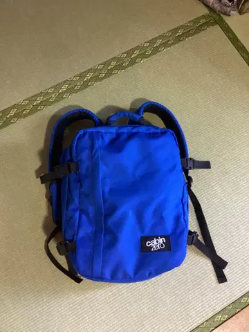 캐빈 제로 자크