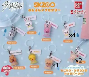 Skzoo 메지루시 액세서리