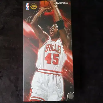 엔터베이 마이클 조던 시카고 불스 NBA 1/6