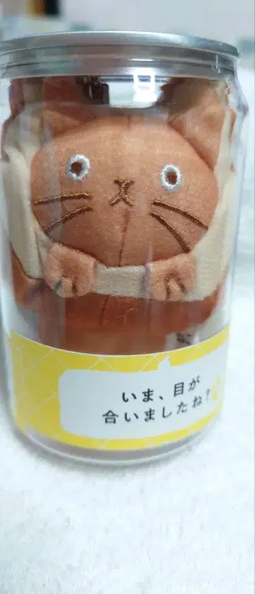 고양이 고양이 식빵 고양이 봉제 인형 참