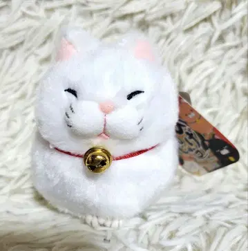 히게만쥬 모치오 봉제 인형 택 포함