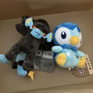 팽도리 fit 렌트라 MY RENTOR AR'S STORY