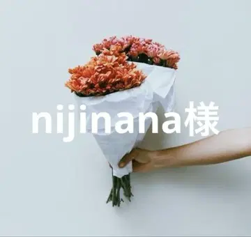 니지나나 님