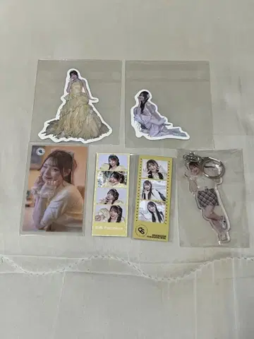 후루사와 리사 묶음 판매