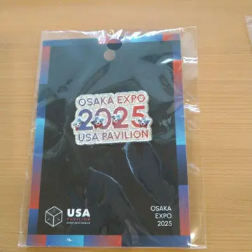 만국 박람회 미국관 핑 배치 미국 파빌리온 3