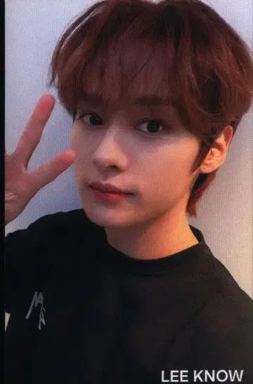 StrayKids 5-STAR LeeKnow 트레이딩 카드