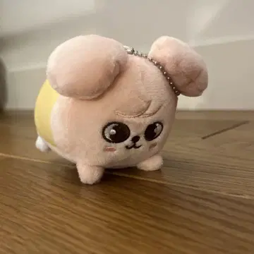 StrayKids 승민 백 참 봉제 인형