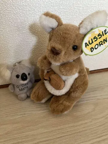 AUSSIE BORN 캥거루 봉제 인형