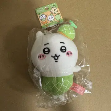 치이카와 (먼작귀) 홋카이도 한정판 마스코트 멜론