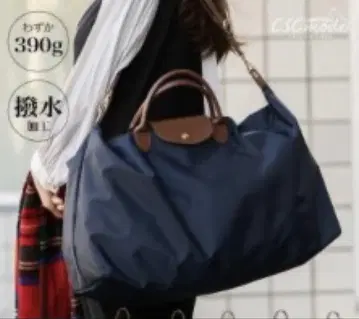 보스턴 백