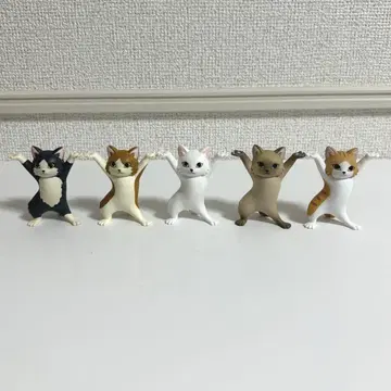 고양이 펜꽂이 5개 세트