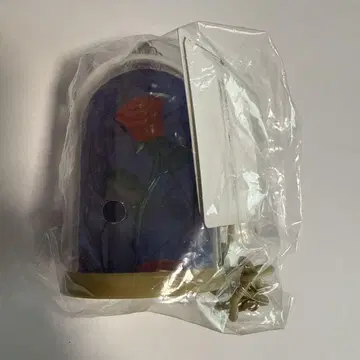 디즈니랜드 미녀와 야수 장미 수베니어 케이스