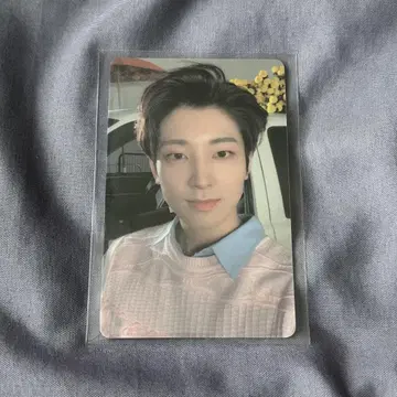 세븐틴 yourchoice 라키드로 원우