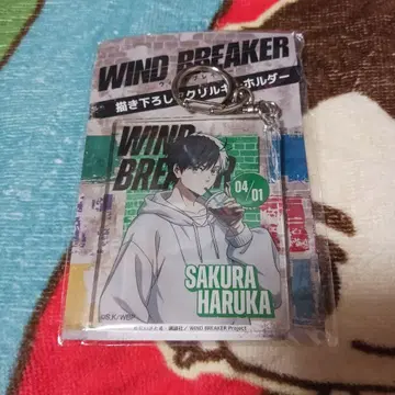 윈드 브레이커 WIND BREAKER 사쿠라 하루카