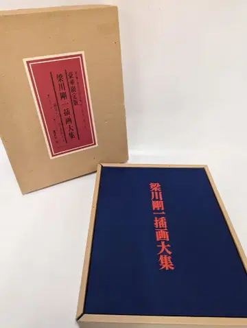 야나가와 고이치 야나가와 고이치 삽화 대집 운송 상자 결함