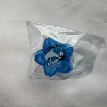 Free! 오케콘 2025 반지 라이트