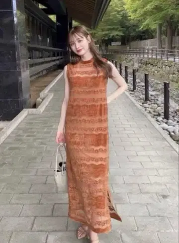 아메리 벨루어 레이스 노 슬리브 드레스