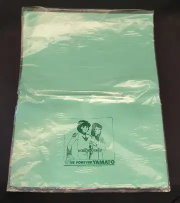 비닐 파일 홀더 우주전함 야마토/옐로우 그린/AY-525B