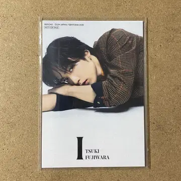 후지와라 키 사진 카드