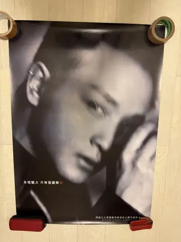 [ 초레어 ] 레슬리   흑백 대형 포스터, 플러스 덤 포스터