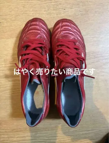 모렐리아 네오 2