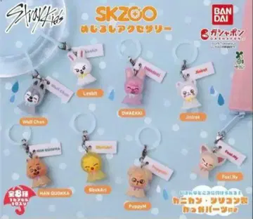 Skzoo 메지루시 액세서리 컴플리트 세트