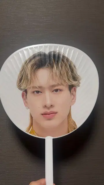 BUDDiiS 모리군 부채 EBiDAN THE LIVE 2024