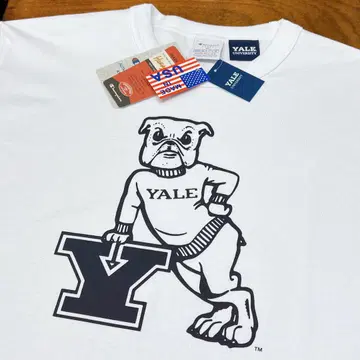 새상품 챔피온 T1011 미국제 칼리지 티셔츠 YALE XL