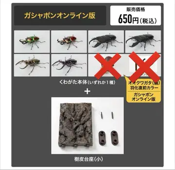 생물대도감 사슴벌레 10 수피 받침대 세트 6종 세트