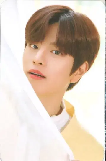 StrayKids WAVE9 승민 NACIFIC 콜라보 브라운