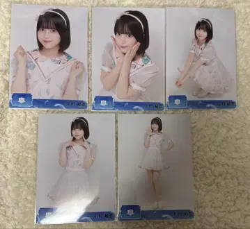 AKB48 브로마이드 카와무라 유이 컴프