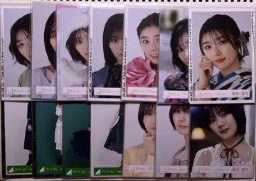 후지요시 카린 브로마이드 컴프 묶음 판매