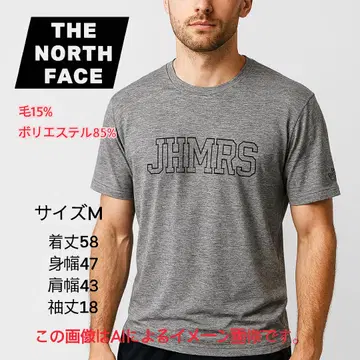 THE NORTH FACE 로고 티셔츠 JHMRS 그레이 M 사이즈