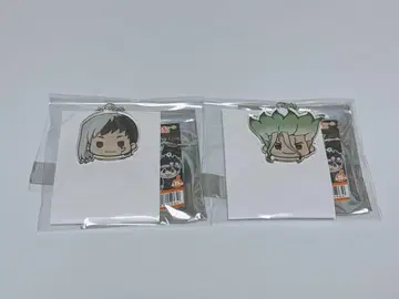 Dr.STONE 센쿠우 겐 아크릴 키링 2개 세트 [장미 불가]