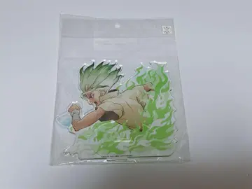 Dr.STONE 이시가미 치쿠루 캐릭터 아크릴 피규어 (아크릴 스탠드)