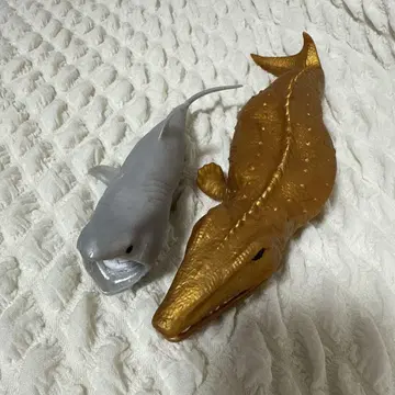안도코