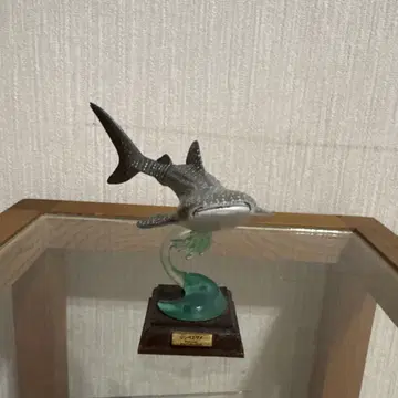네이처 테크니컬러 징베상어