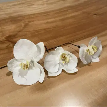브라이덜 헤어 액세서리 팔레놉시스 일본 의류 결혼식 촬영 졸업식