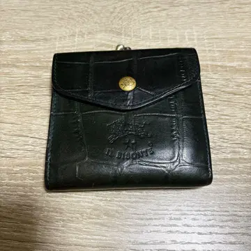 IL BISONTE