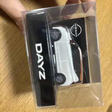 Nissan DAYZ 미니카 화이트/