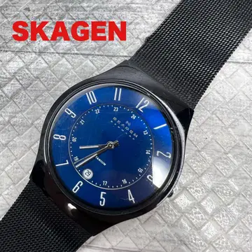 SKAGEN T233XLTMN 시계 스카겐